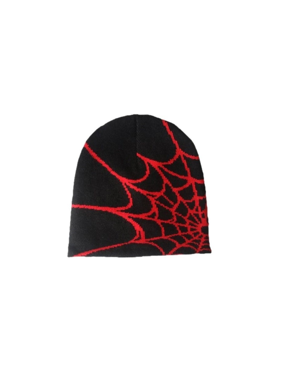 Spider Web Beanie